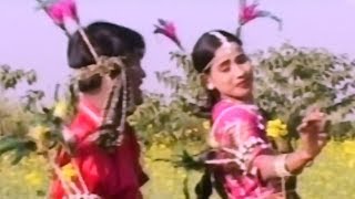 kanha Jabe Kochai Paan - कहाँ जाबे कोचई पान - Dilip Lahariya - Jiya Rani  - CG Video Song Collection