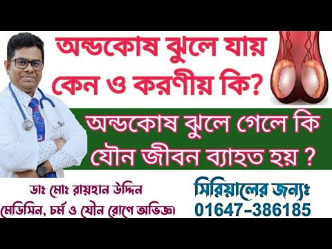 ভিডিও: জাপানি মাস্টার কিউই দিয়ে প্রাণীদের নিয়ন্ত্রণ করেন