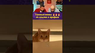 Настольная игра, мемы 8 #nevermindbattle #битвамемов