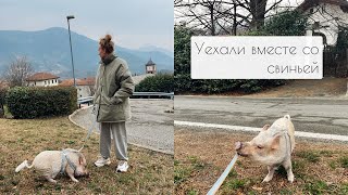 Срочно уехали из России в Италию на машине