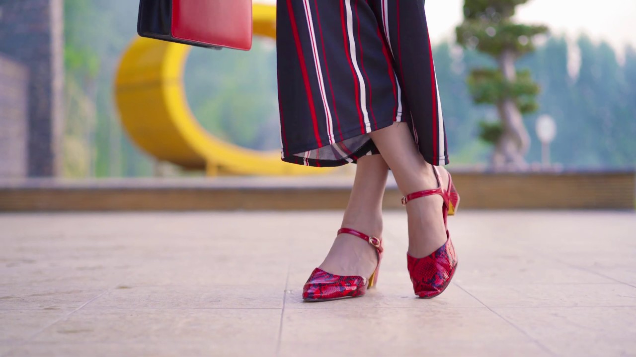 Stylo - Winter Collection 2019