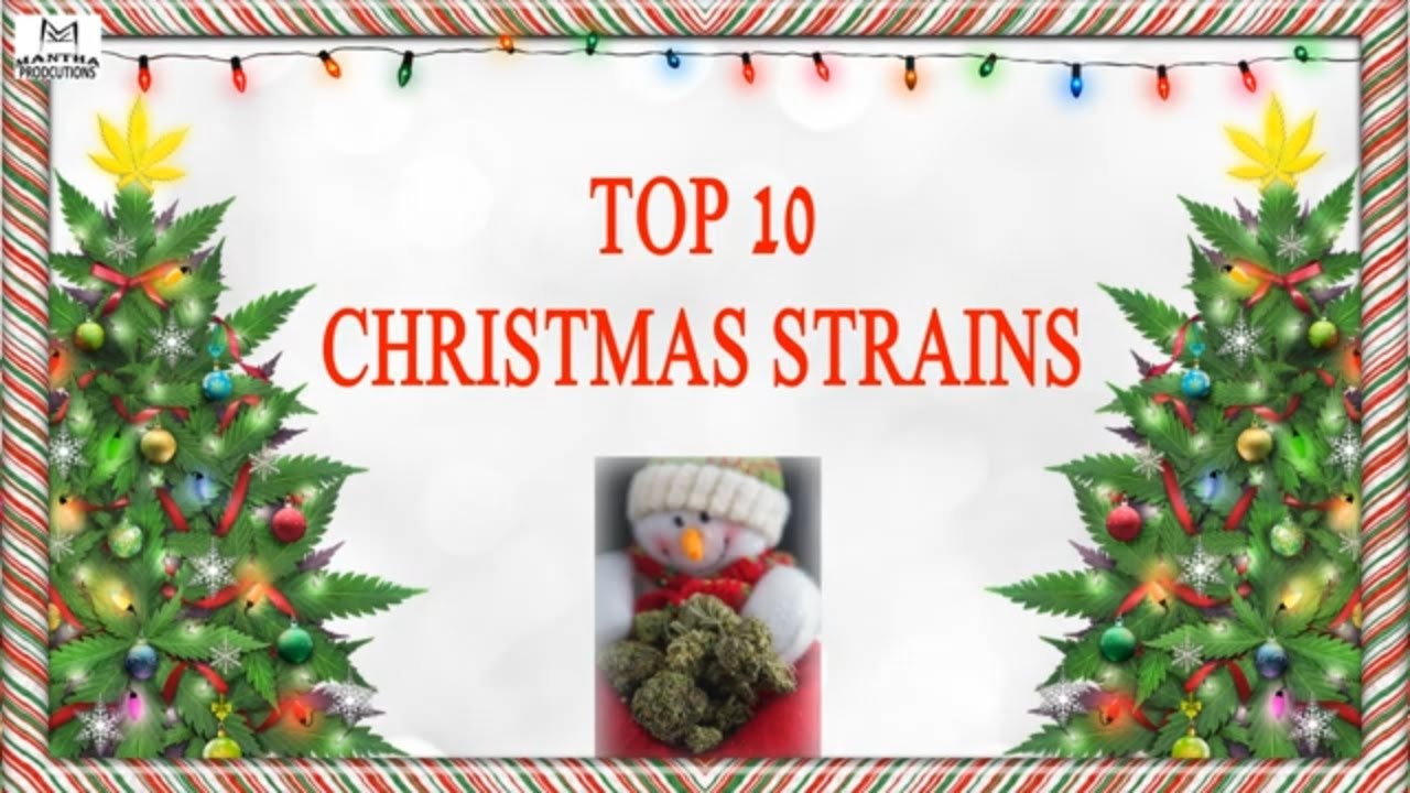 Happy Holidaze | Top 10 Christmas Strains