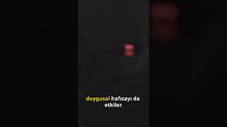 Sence Neden Gece Olunca Daha Çok Özleriz?