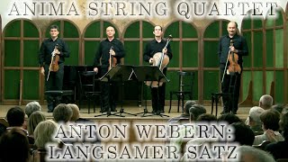 Anton Webern: Langsamer satz for String Quartet (Anima String Quartet)