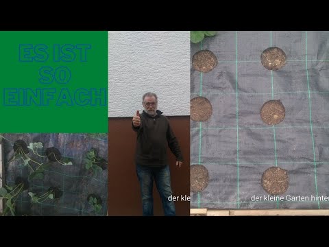 Video: Wie Man Mulchfolie Verwendet