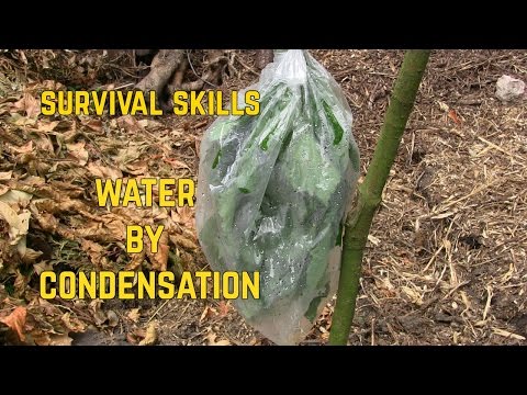 COMMENT L'EAU PAR CONDENSATION COLLECT