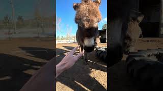 Episode 16: “Turquoise Trail” NM Recap