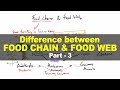 Food Chains and Food Webs in Ecosystems