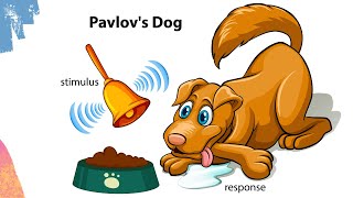 Pavlovs Dog Experiment Clical Conditioning Learning & Behavior Change कस हत ह?