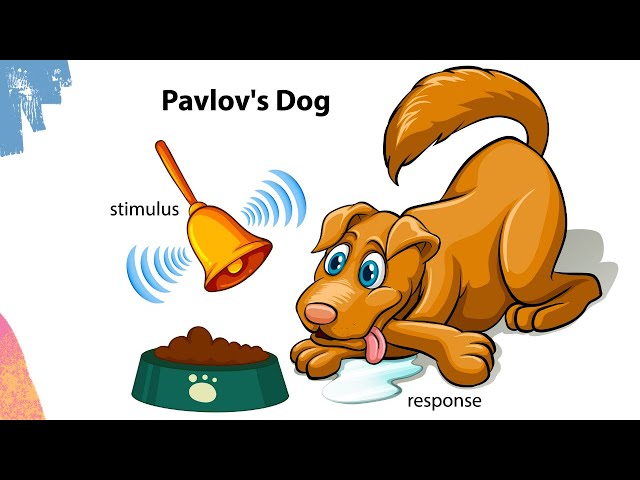 Pavlov Learning Pavlov's Dog Learning Theory
