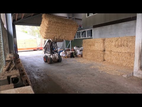 Unloading straw bales with the Bobcat 453