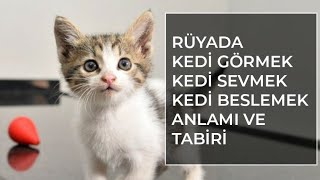 Ruyada Kedi Gormek Islami Ruya Tabirleri Ihya Diyanet Ruya Tabirleri