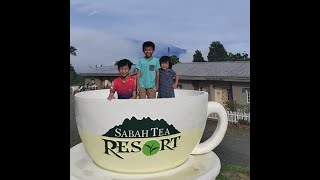 Sabah Tea Resort Cottage || Ranau, Sabah
