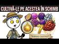 UITĂ tot ce ți-au vândut pepinierele — acești pomi fructiferi SCHIMBĂ totul