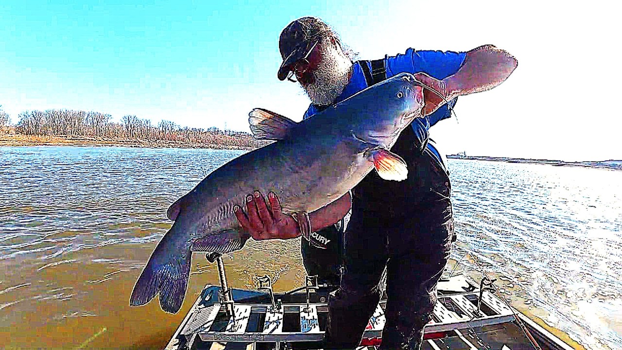 Активный отдых на реке Миссисипи во время ловли крупного сома