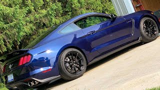 Don't waste your money on a GT350R buy a 20192020 GT350 instead