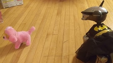 Aibo ERS 220 Running Recognition: Featuring Annoying Squeaker Dog