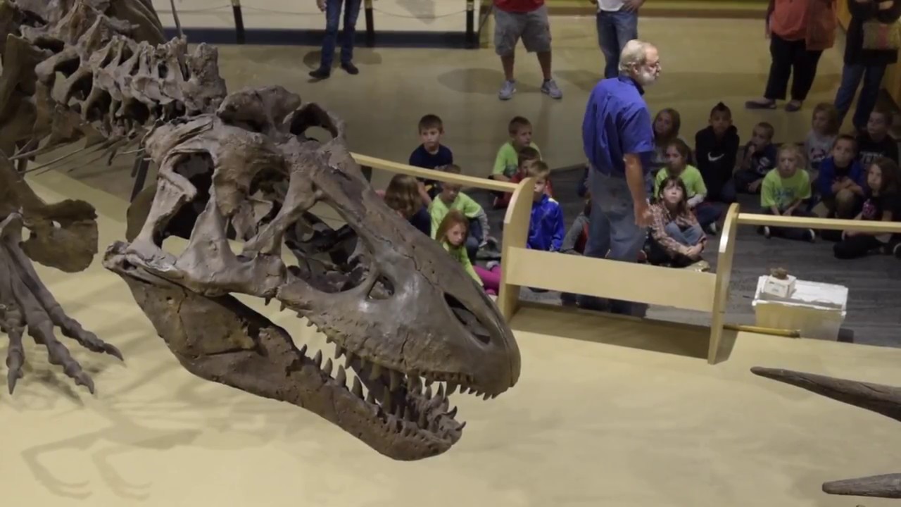 museums in london School Programs at CMNH