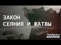 Владимир Мунтян | Закон сеяния и жатвы | Четвертое измерение