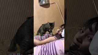 Susissiuuli Aja Ga Mau Cium Adek Wkwkkw