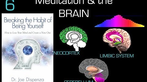 Dr Joe Dispenza Chapter 6 Review of Breaking the Habit of Being Yourself - Meditation & the Brain