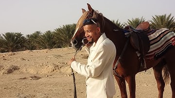 سورة القدر بصوت الشيخ عبد الباسط عبد الصمد