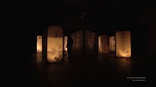Typon Noir Trame Despace