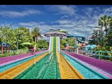 Vidéo: Aquatica Orlando Est Le Premier Parc Aquatique Certifié Au Monde Pour L'autisme