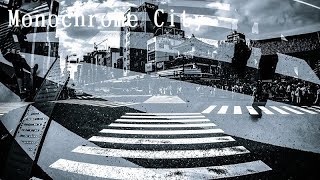 Monochrome City