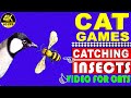 Cat games ultimate cat tv compilation  best cats on screen  cat  dog tv 4k 8 hours