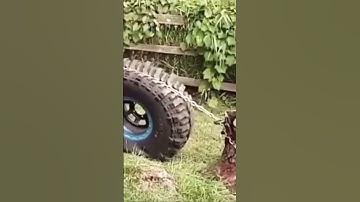 Lifehack for uprooting tree roots #lifehack #homemade #shorts