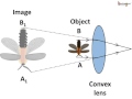 Science - What are Concave and convex  lenses and prism -  English