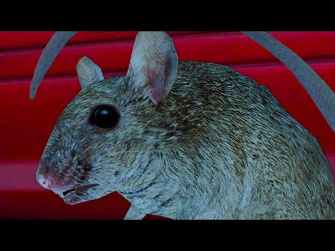 Видео: Симулятор Крысы #3 Босс Главарь Вредитель Rat Simulator против Кида на пурумчата