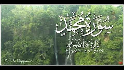 سورة محمد القارئ إبراهيم شامي