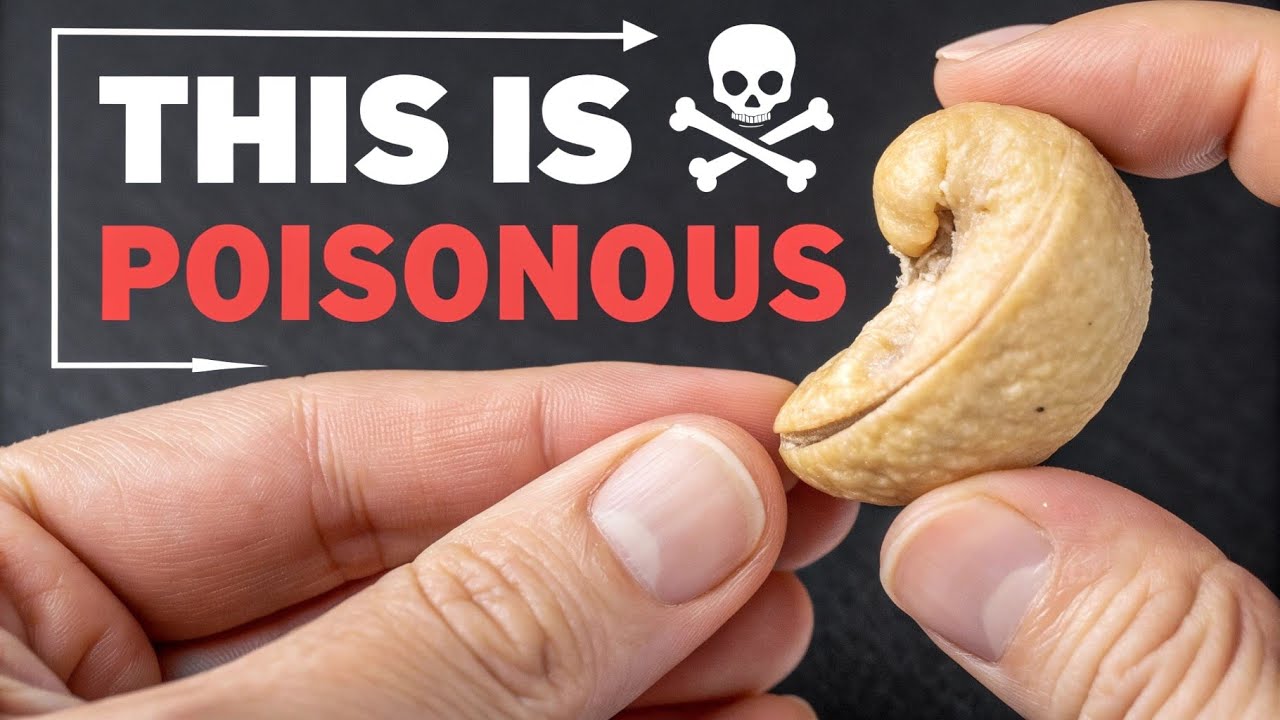 You Use These Things Daily — But They Could Be Deadly