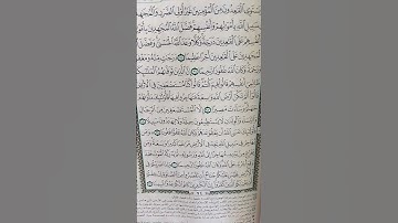 سورة النساء  ٩٥-٩٦-٩٧ #مقتطفات #قرآن