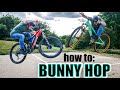 How to Bunny Hop - MTB BASICS