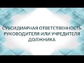 Субсидиарная ответственность руководителя, гл. бухгалтера. Из выступления в КА "Комаев и партнеры"