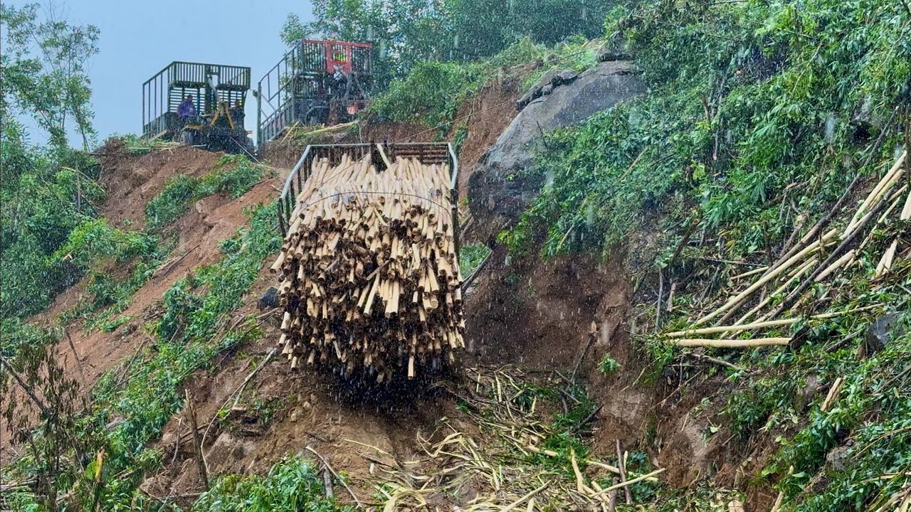 Xe Độ Chở Gỗ, Gặp Mưa Và Gặp khó Khăn Nguy Hiểm Kêu 3 Bạn Ra Cứu #keubạnracứu