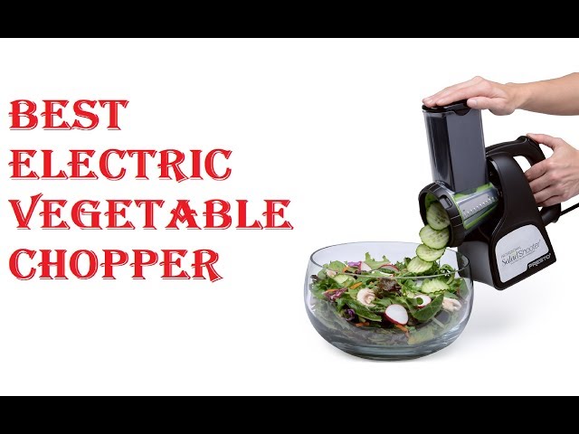 Best Electric Vegetable Chopper 2021 