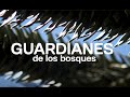 Guardianes capítulo 1: Guardianes de los bosques | 24 Horas TVN Chile