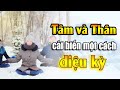 Tâm và thân cải biến một cách diệu kỳ