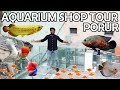 Porur Amman Aquarium shop Tour | Ornamental fish Aquariums and Pet Shop |வண்ண மீன்கள் தமிழ் | Part 1