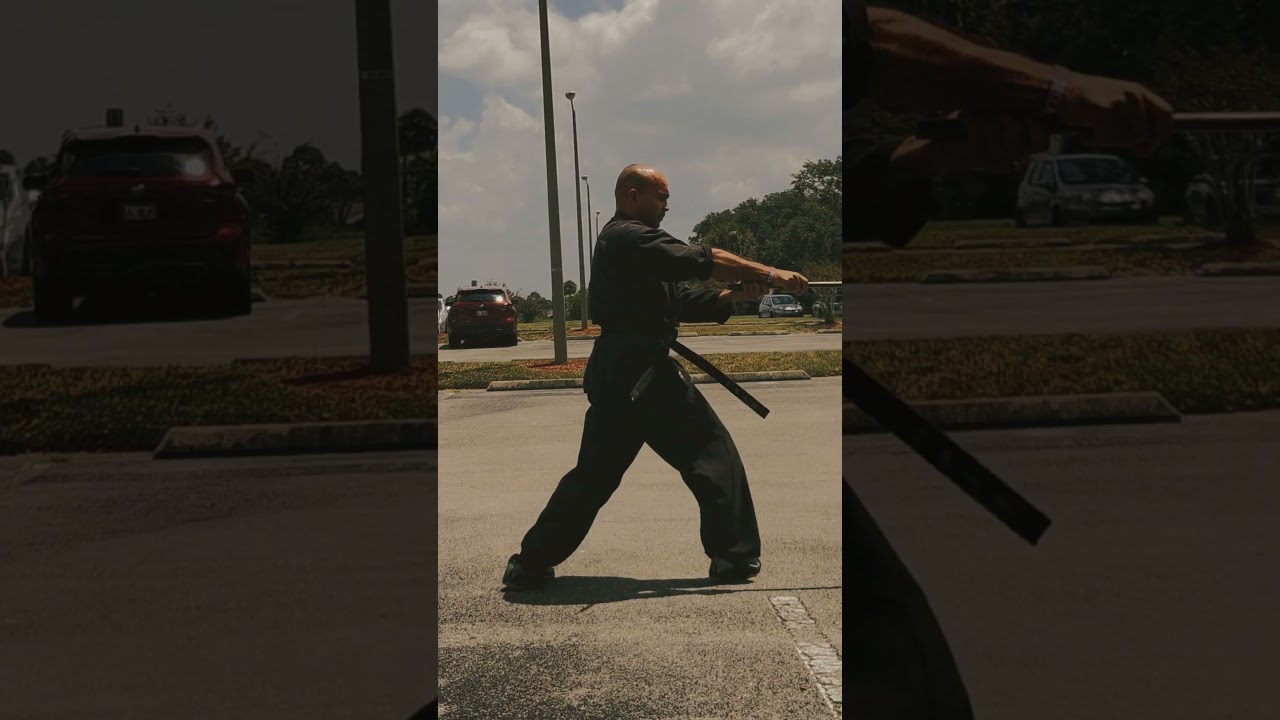 "Tradition Meets Technique: Kuk Sool Sword Forms Quick Look!" 