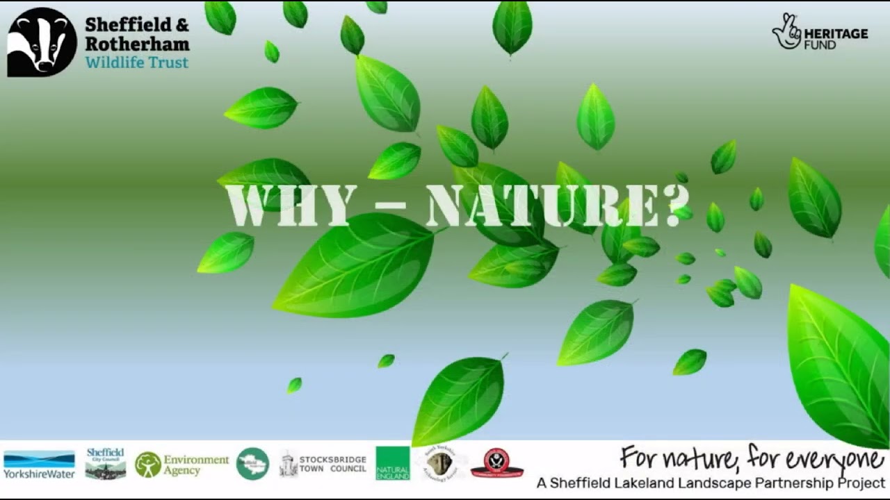 Connecting Steps -  Taking Action for Nature (Sheffield & Rotherham Wildlife Trust)