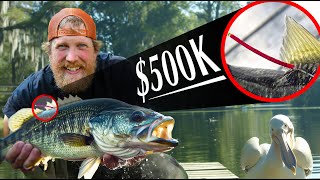 Most Valuable Fish I Ever Caught  | Alabama Catch &amp; Cook Adventure Day 2