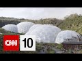 How To Build An Indoor Rainforest