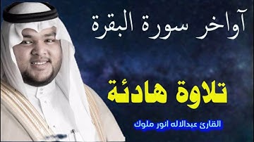 آواخر سورة البقرة | تلاوة هادئة |💚💤 للقارئ عبدالإله أنور ملوك,,,,