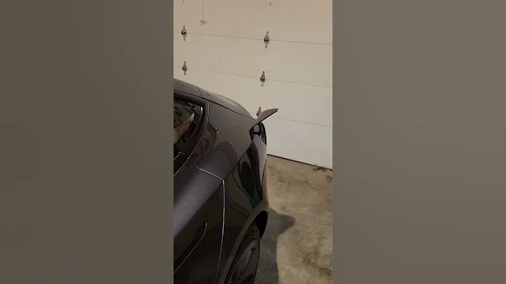 Open b*tthole  - Tesla Model 3