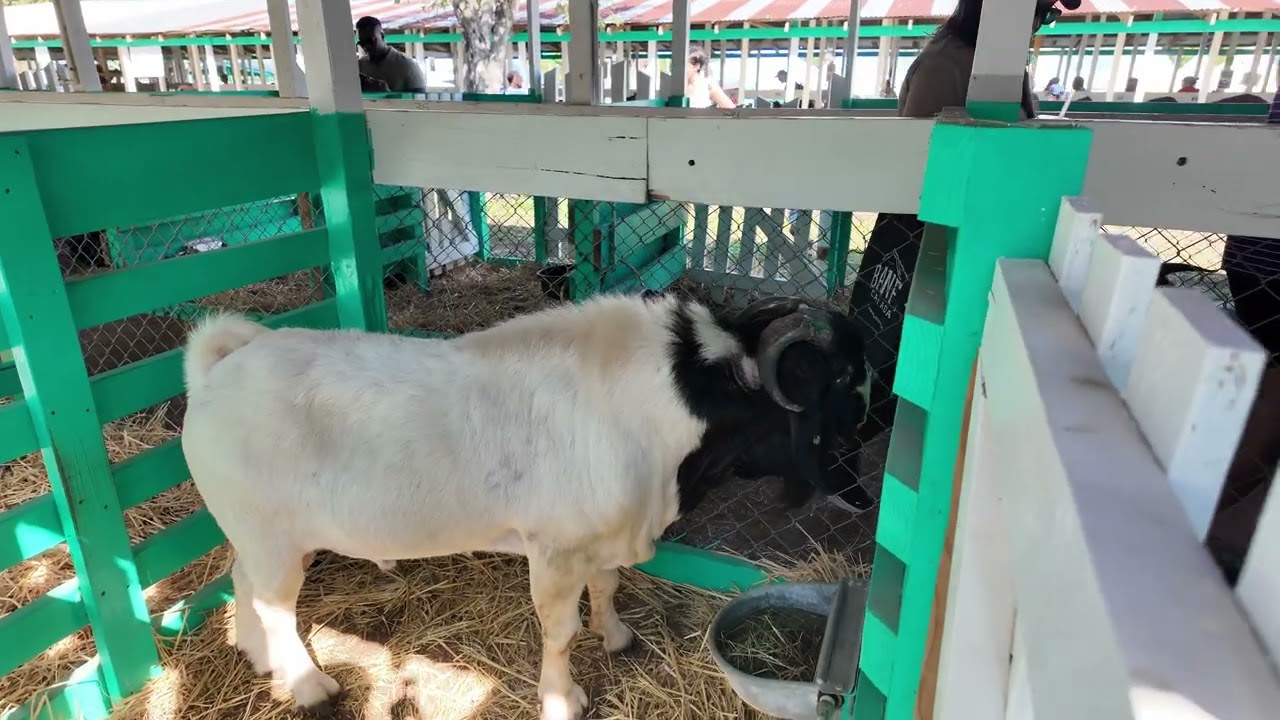 Cayman Agriculture Show 2026